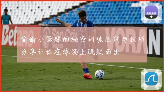 偷偷小篮球的秘密训练法则与技巧分享让你在球场上脱颖而出