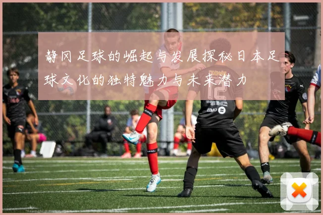 静冈足球的崛起与发展探秘日本足球文化的独特魅力与未来潜力