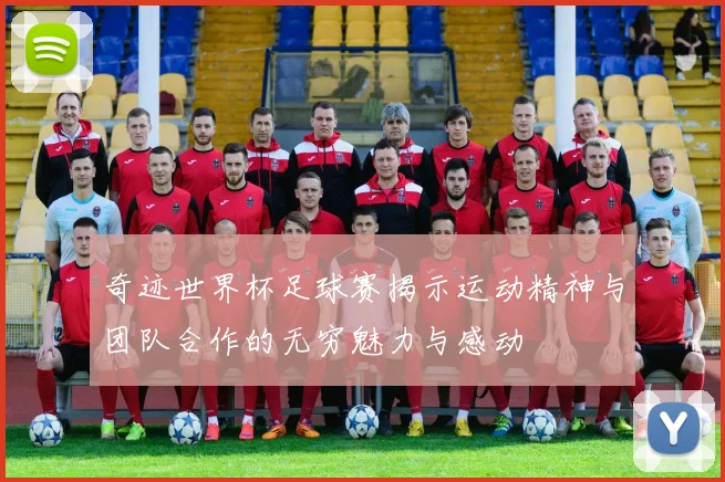 奇迹世界杯足球赛揭示运动精神与团队合作的无穷魅力与感动