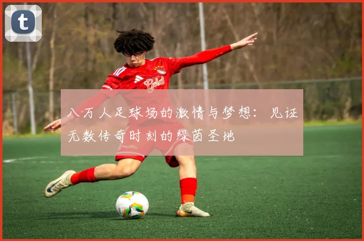八万人足球场的激情与梦想：见证无数传奇时刻的绿茵圣地